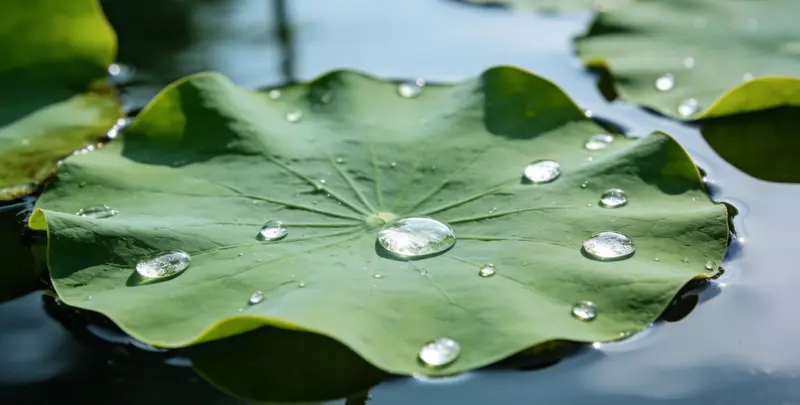 兴安盟乳腺癌21基因mRNA表达分析检测图1