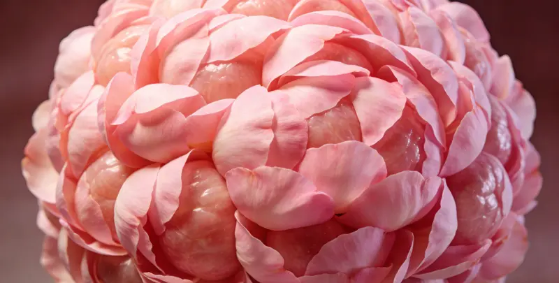 兴安盟乳腺/卵巢癌靶向120基因检测（组织）检测图1