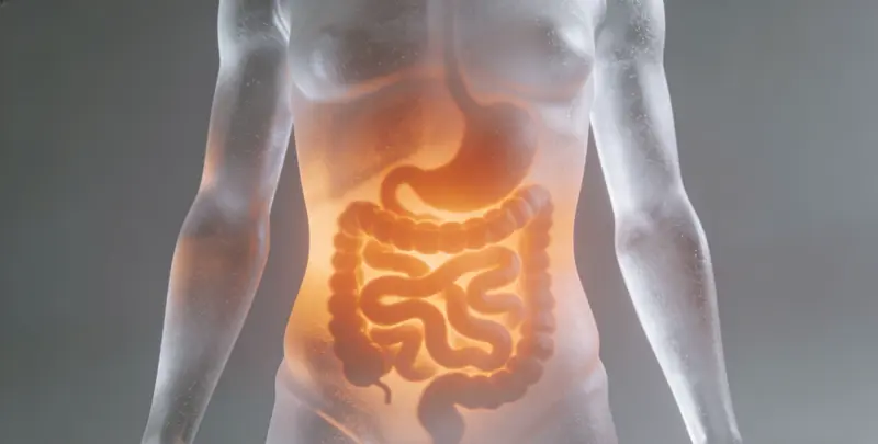 兴安盟胃癌靶向用药39基因检测及PDL122C3表达检测套餐（组织）检测图1